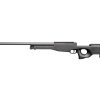 ASG AW.308 Sniper/L96 Spring Spring puške